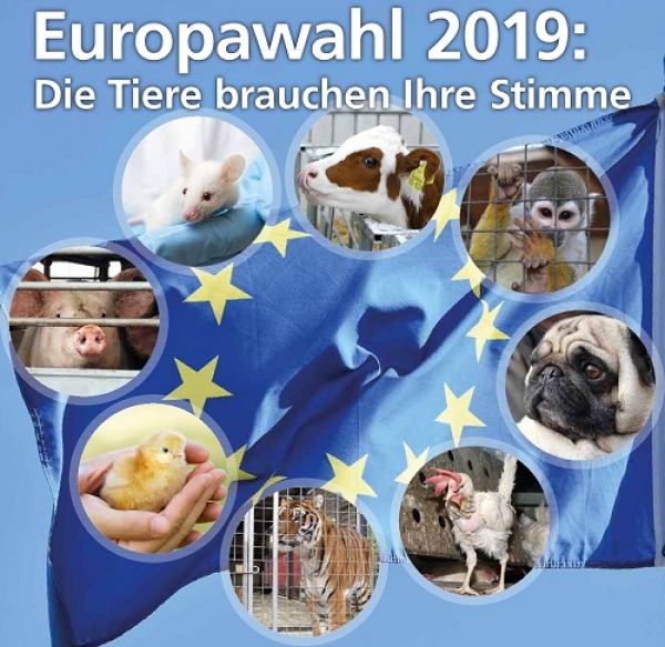 Collage Europawahl 2019 -  Die Tiere brauchen Ihre Stimme