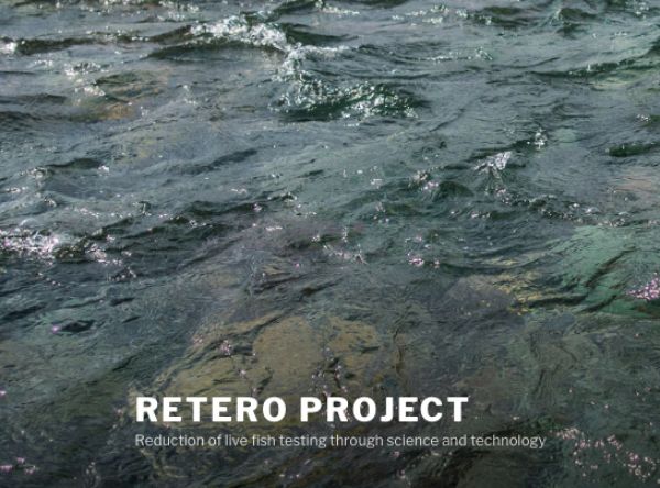 RETERO- Reduktion von Tierversuchen zum Schädigungsrisiko bei Turbinenpassagen durch Einsatz von Roboterfischen, Strömungssimulationen und Vorhersagemodellen