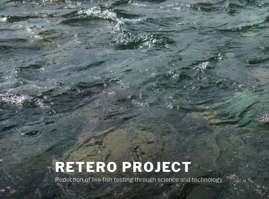 RETERO- Reduktion von Tierversuchen zum Schädigungsrisiko bei Turbinenpassagen durch Einsatz von Roboterfischen, Strömungssimulationen und Vorhersagemodellen