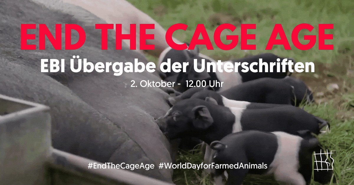 End the Cage Age: Übergabe der Unterschriften